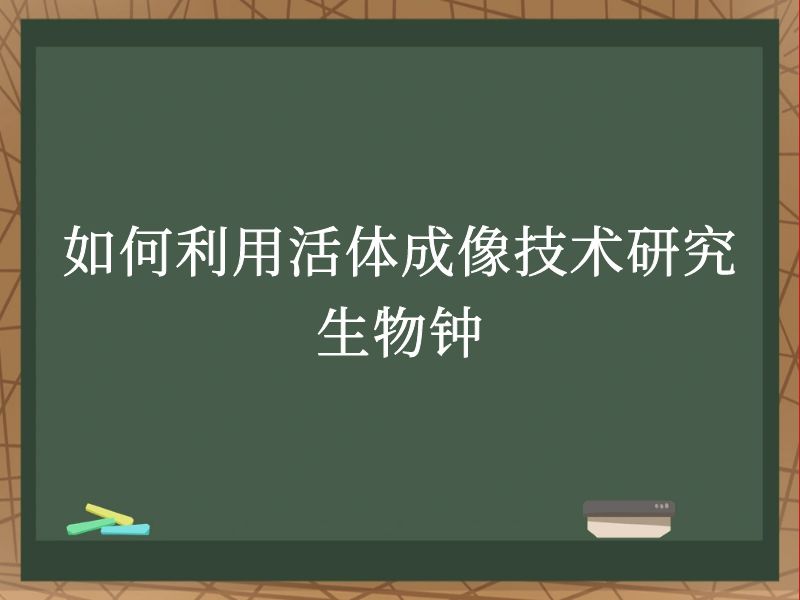 如何利用活体成像技术研究生物钟